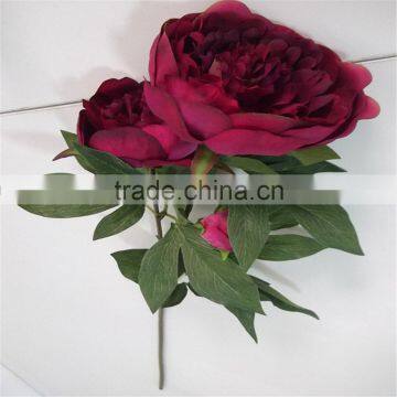 SJ20170059 Artificial Red Wine Silk Fabric Peony Flower for Indoor Decoration photo-2