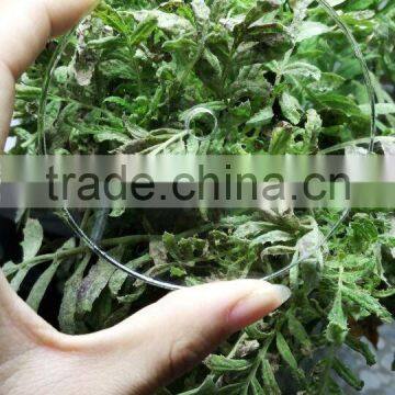 Clear Acrylic Laser Cut Shapes Circular Disc photo-4