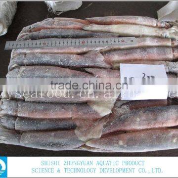 Frozen Illex Argentinus Squid photo-2