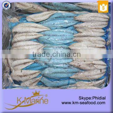 Manufacture Frozen Fish Fillets (Mackerel Fish) photo-2