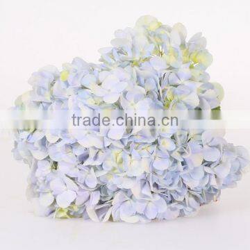 Fresh Cut A Grade Flower Mixed Color Hydrangea Beautiful Fresh Cut Natural Peaceful Wedding Flower