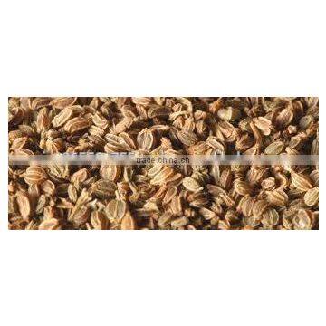 Celery Seed