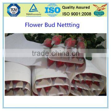 Colorful Flower Packing Bud Net photo-3