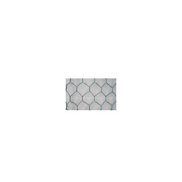 Galvanized Iron or PVC Coated Hexagonal Wire Mesh/Chicken Mesh BWG 18