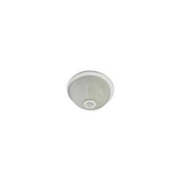 China (Mainland) Ceiling PIR Sensor