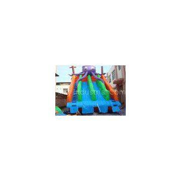 Amusing Commercial Inflatable Slide , Inflatable Pool Slide For Water Park