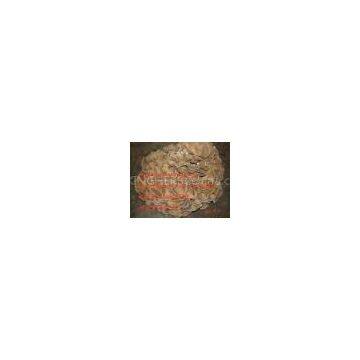Maiitake Mushroom Extract 30%