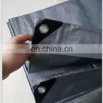 China made PE Tarpaulin with competitive price