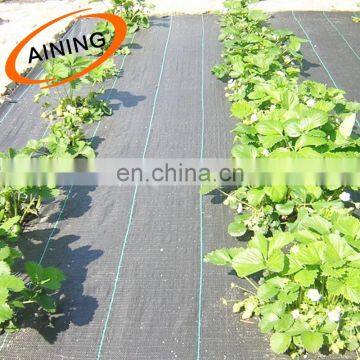 Factory Supply Cheap Plastic Ground Cover Anti Weed Mat for Playground photo-3