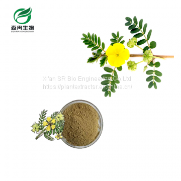 Manufacture supplier 90% Saponins Tribulus Terrestris extract powder