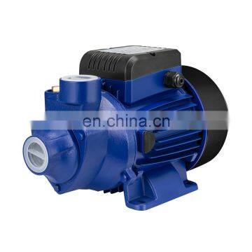 Electric 0.5hp 1 hp Vortex Qb60 Water Pump Price List photo-4