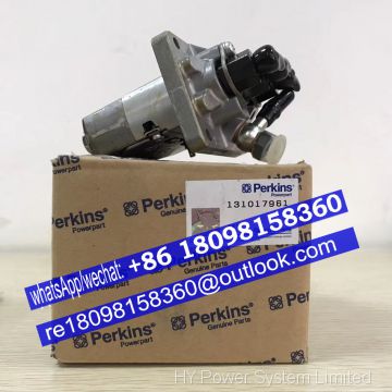 Perkins Fuel Injection Pump 131017592 131017961 for 403D-22 403C-22  Engine parts