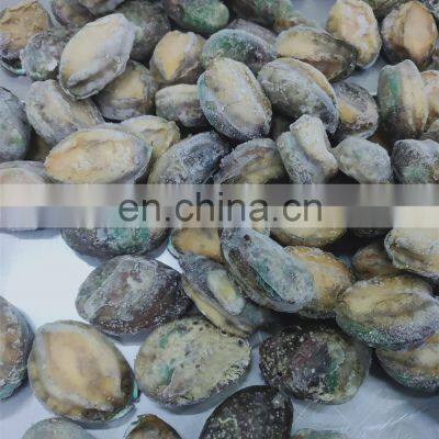 IQF Frozen Abalone in Shell for Sale photo-2