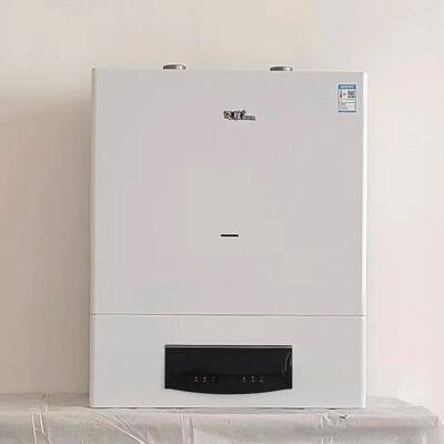 Good Quality Gas Boiler 3-phase Gas Boilers 50kw Closed Chamber Wall Mounted Gas Boiler photo-3