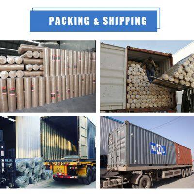 Galvanized Welded Fencing Net Iron Wire Mesh/ Welded Iron Wire Grid Chicken Wire Mesh Roll Sand Sieving Mesh photo-6