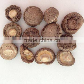 Polish Wild Dried Mushrooms photo-4