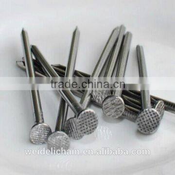 Galvanized Concrete Nail/Common Wire Nail / Roofing Nails photo-6