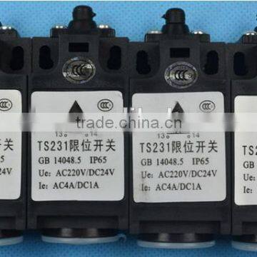 Elevator Limit Switch TS231