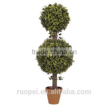 boxwood ball tree two balls with pot bonsai