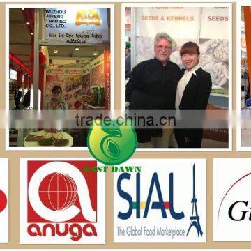 Health Premium Water Melon Seeds photo-5