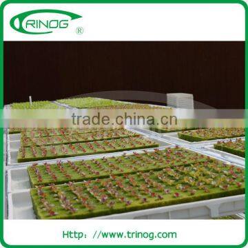 Hydroponic rock wool for agriculture purpose