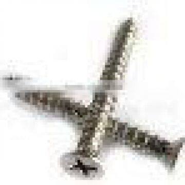 Countersunk Head Self Tapping Screw with Cross Recessed