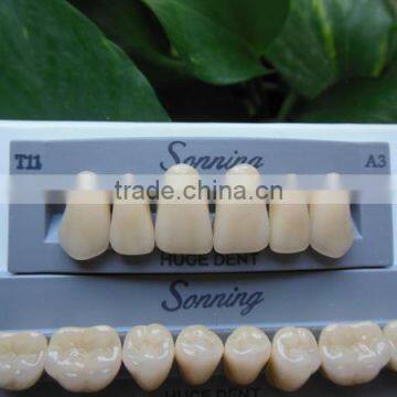 CE certification synthetic polymer teeth