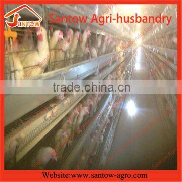 Hot Galvanzied H Type Breeding Cage for Africa photo-2