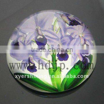 Fashion Crystal Office Crafts Paperweight with Plant Image/ Business Gifts