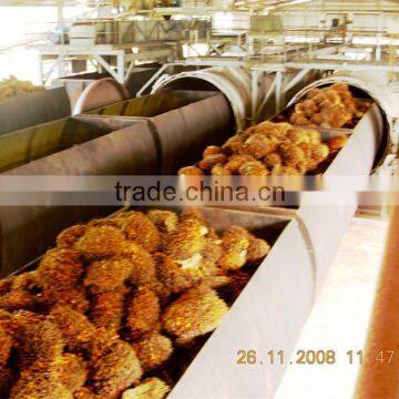 Palm oil pressing machine | palm oil milling machine