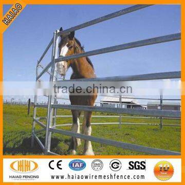 Made in China best quality 1.8m high horse panels