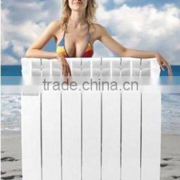 aluminum alloy radiator