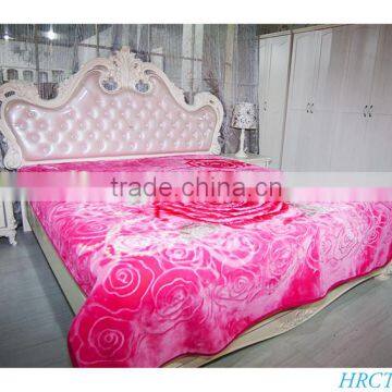 Hot Selling New Design 100 % Polyester Korean Style2Ply Mink Blanket