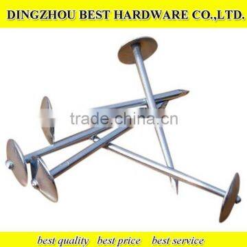 Roofing Umbrella Nail photo-4