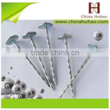 Roofing Nail Type and Iron Material twisted/smooth umbrella roofing nail