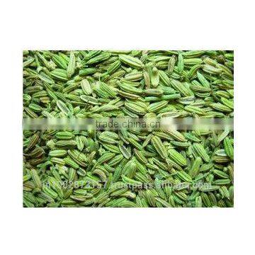 Fennel Seeds