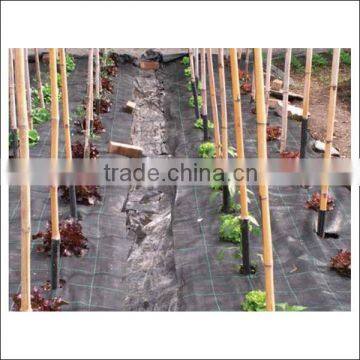 Weed Control Net to Prevent Weeds