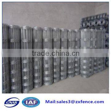 Best Sale Export Factory Pig Fence,goat Fence, Cow Fence photo-6