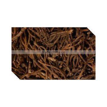 rich Clove Stem