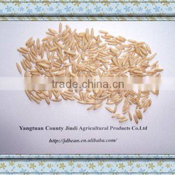 High Quality Chinese Hulled Oats, Naked Oats, Flat Oat Flakes, Rolled Oats Price photo-6