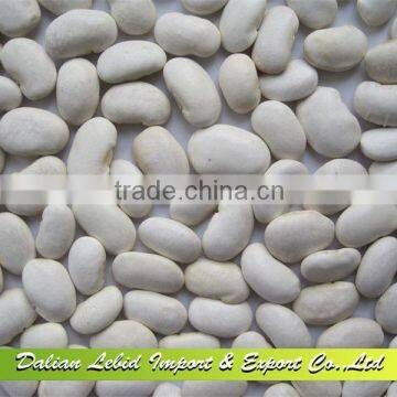 Organic Large Butter Beans For Sale 2016 Crop