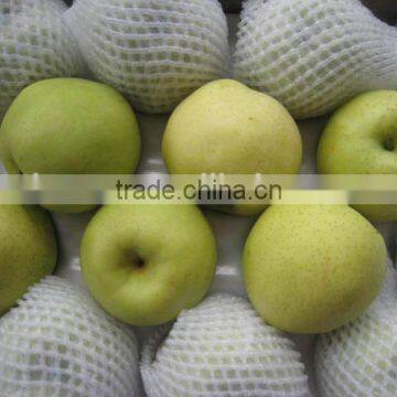 2014 crop shandong golden pear