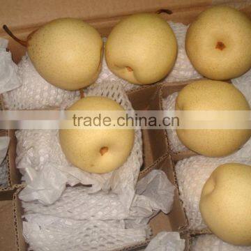 2015 fresh ya pear from China with good quality for sale