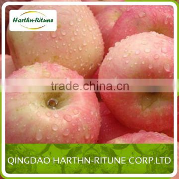 fresh red delicious fuji apple exporter in china