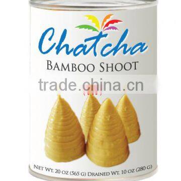 Bamboo shoot in water shoot tip