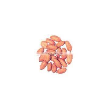 GROUNDNUTS SUPPLIER