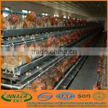 The Lowest Price Chicken Layer Cage for Sale (ISO9001 Manufacturer:sell12@innaer.cn 0086-18731182613) photo-6