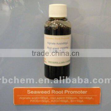 Plant root growth promoter seaweed extract flake