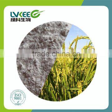 Probiotics Powder 200BL Bacillus Amyloliquefaciens Amino Acid Promoter From Lvkee photo-2