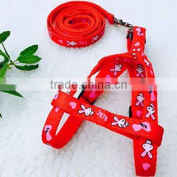 designer fashion dog collar and leashes